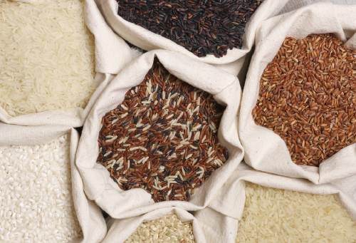 Vector Smart Object-2